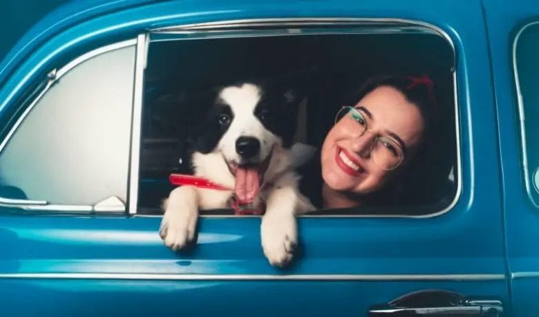 Can I take my Border Collie on vacation ... travel essentials